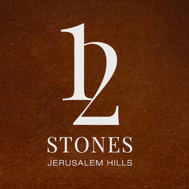 12 Stones Logo
