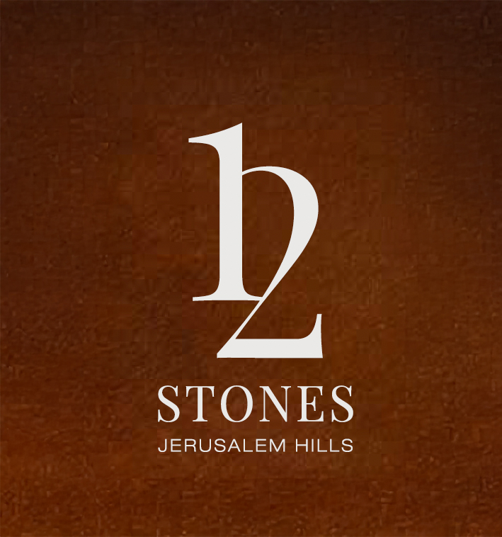 12 Stones Logo